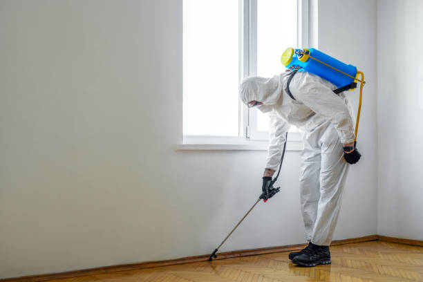 Flea Control Services in Booker, TX