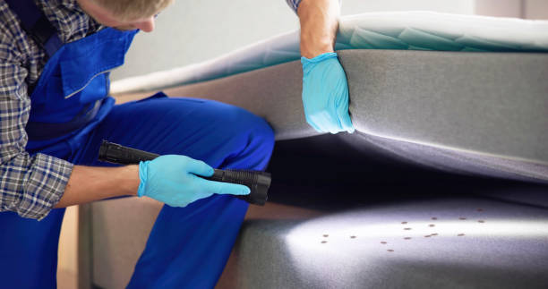 Best Best Pest Control Companies  in Booker, TX