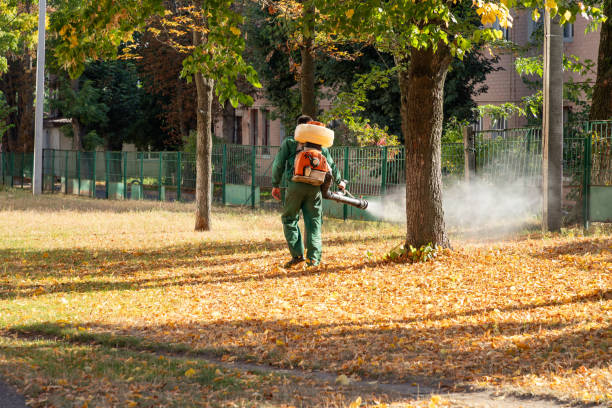 Best Commercial Pest Control Services  in Booker, TX